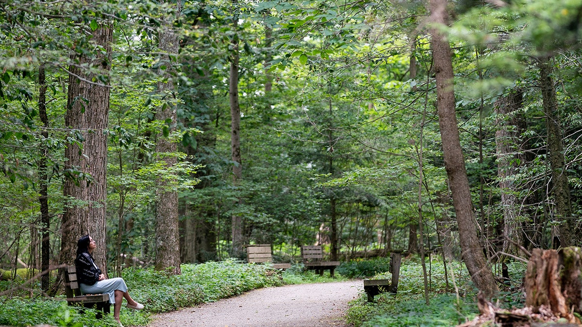 Dan Aykroyd survived 50-foot fall, credits 'divine intervention' for saving his life at george magazine