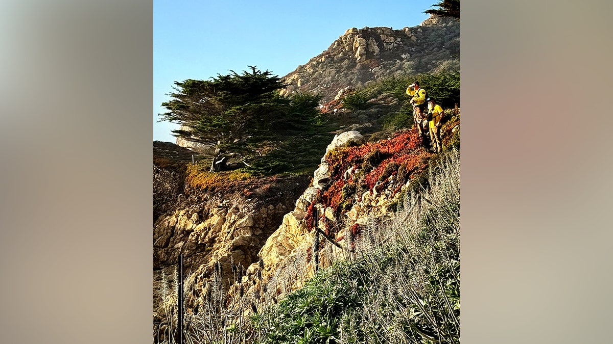 rescuer squad members lasting atop a cliff