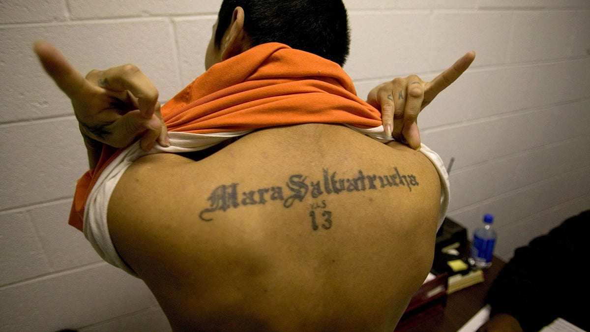 An MS-13 member showing off his tattoo