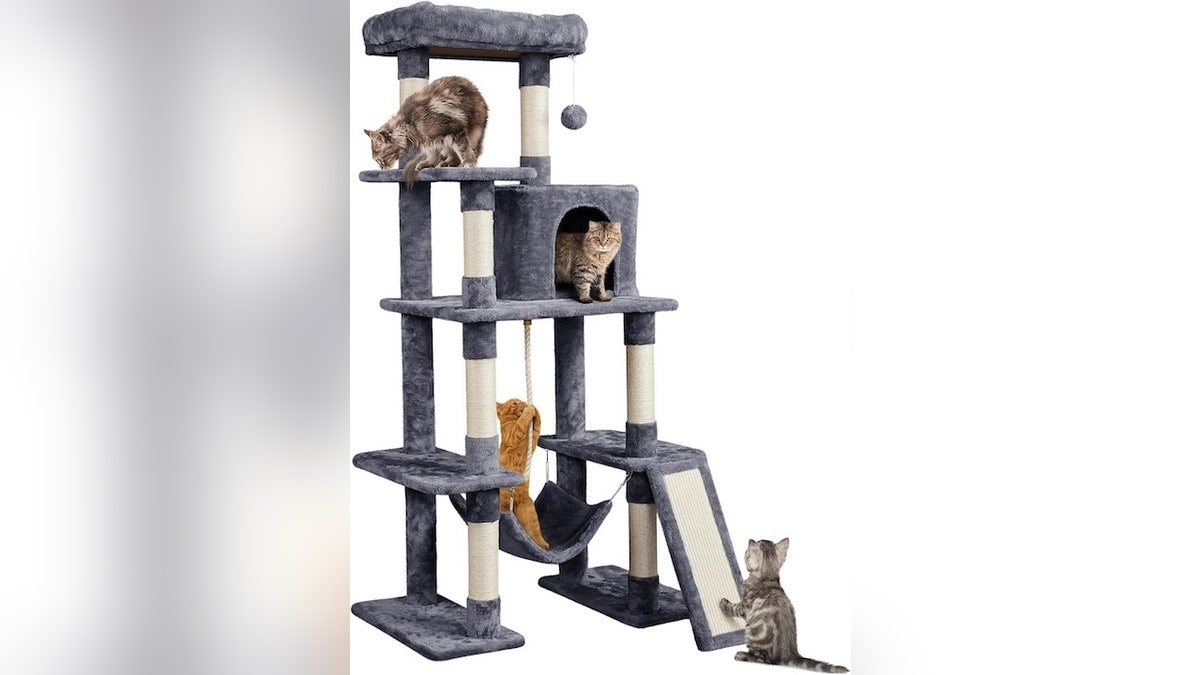 Pet owners (and their furry friends) will love these Black Friday deals – litter boxes, cute mugs and more  at george magazine