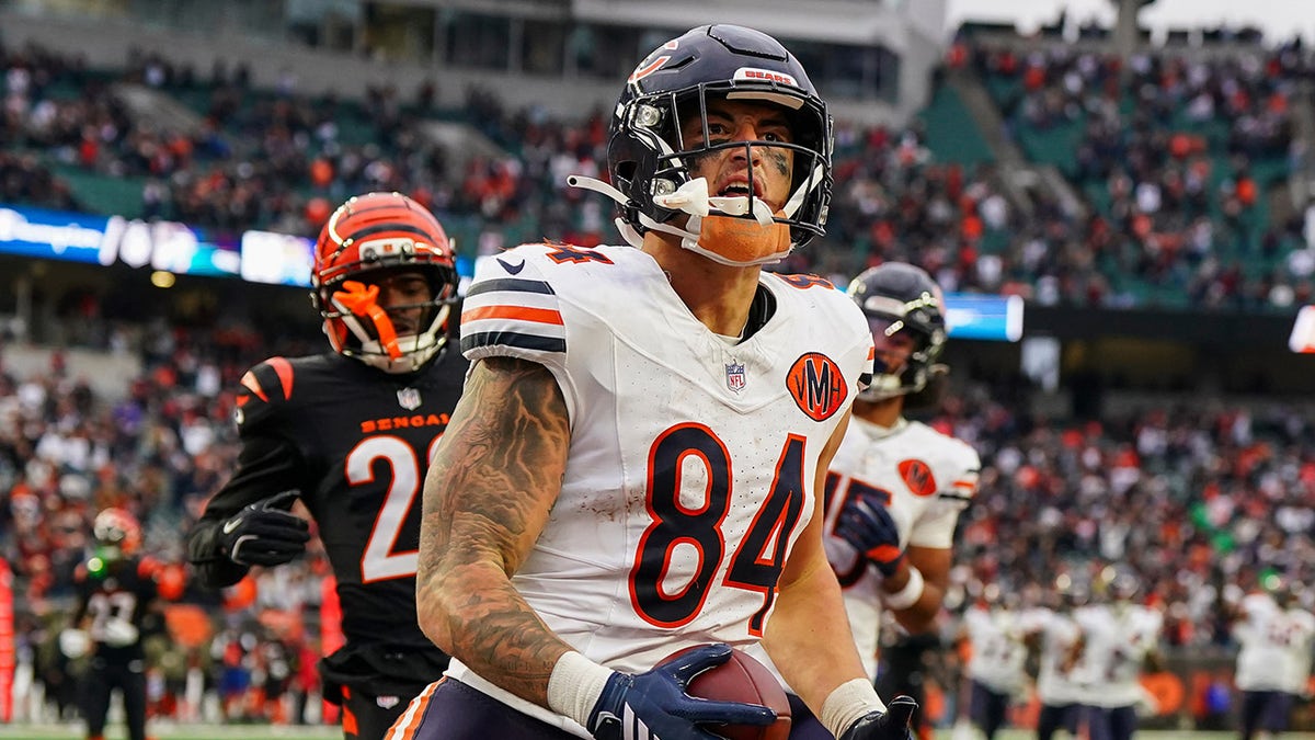 Bears’ Colston Loveland দুই ডিফেন্ডারকে বাউন্স করে বেঙ্গলদের বিপক্ষে জয়ে ক্লাচ টিডি গোল করে