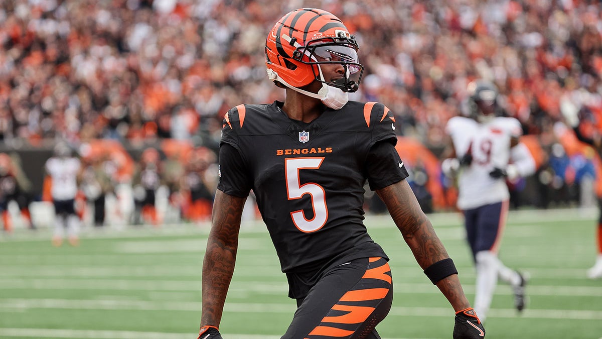 Tee Higgins celebrates