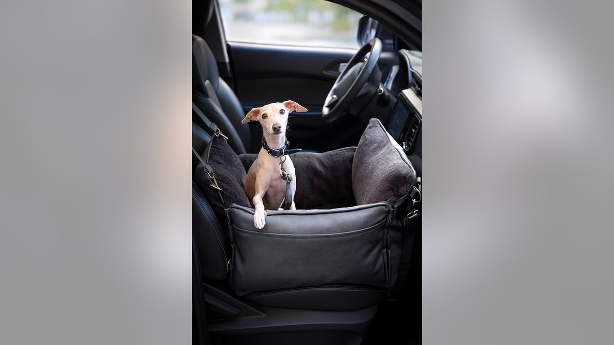 Pet owners (and their furry friends) will love these Black Friday deals – litter boxes, cute mugs and more  at george magazine