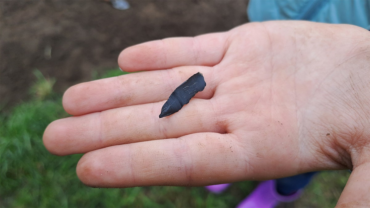'Hugely exciting' prehistoric artifacts uncovered during hunt for long-lost Irish castle at george magazine