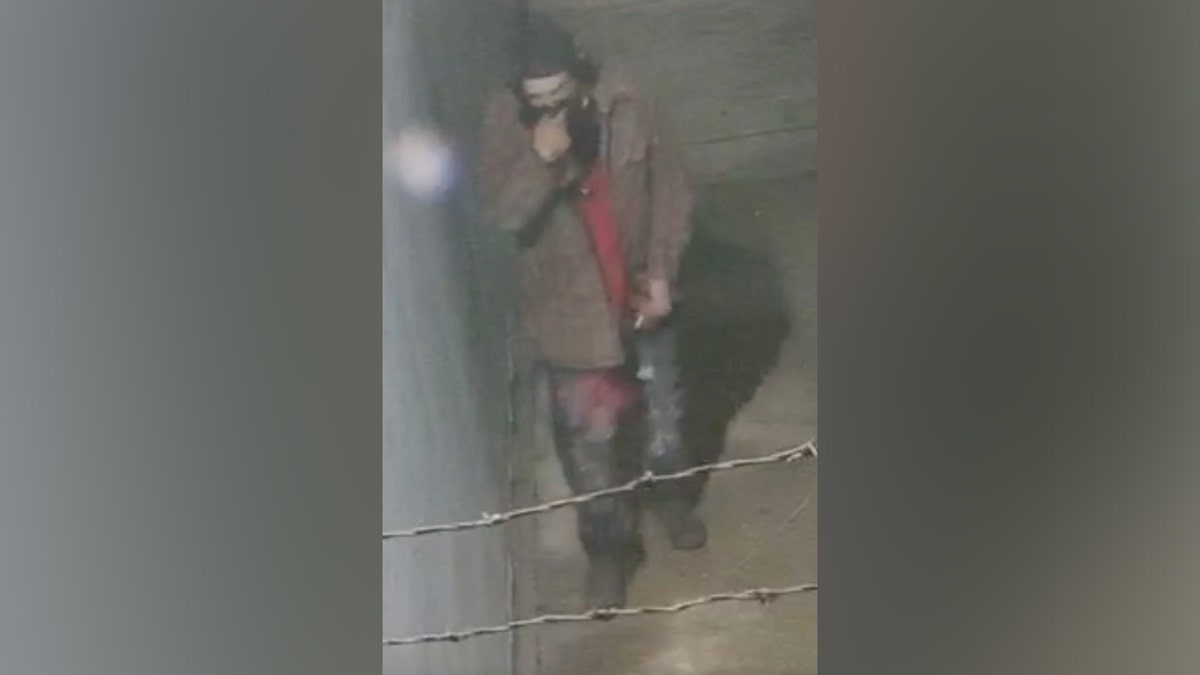 Surveillance footage of suspects allegedly stealing artwork from the Oakland Museum of California