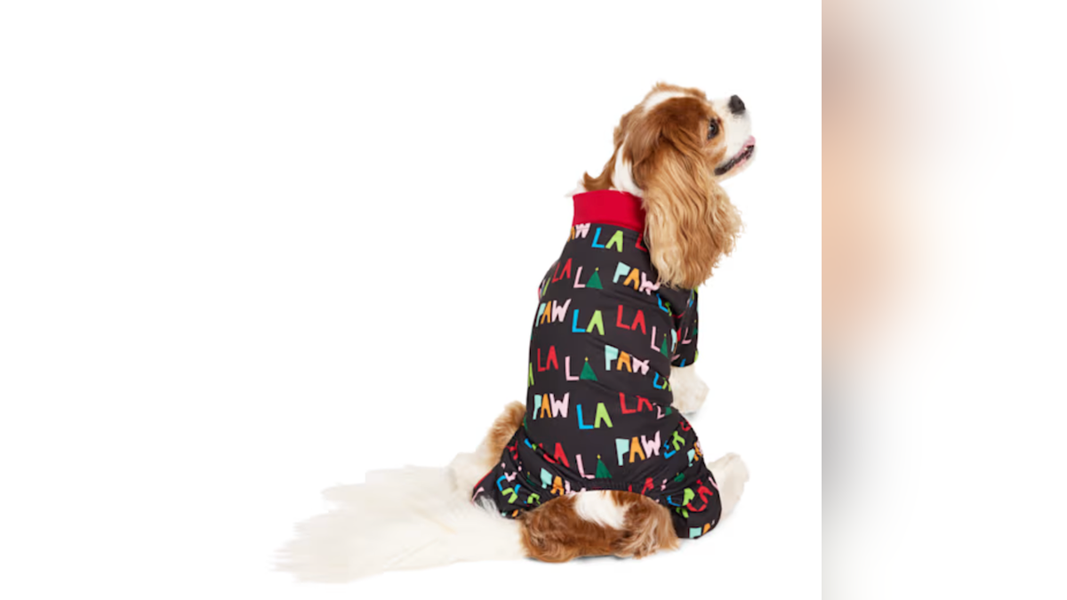 Match your pajamas to your pets for some holiday cheer. 