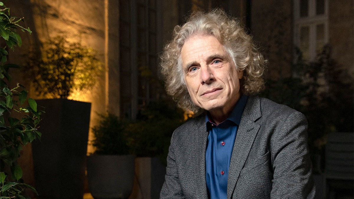 Harvard professor Steven Pinker