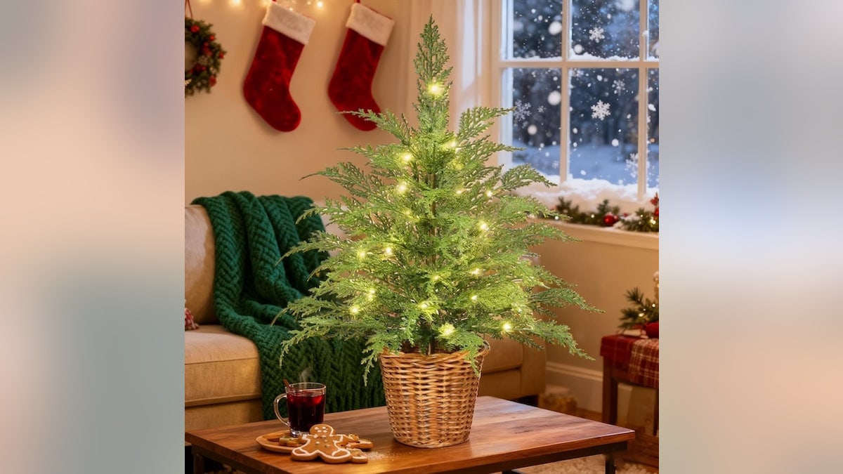 This tree is the perfect size for an entryway, bedroom or small apartment.