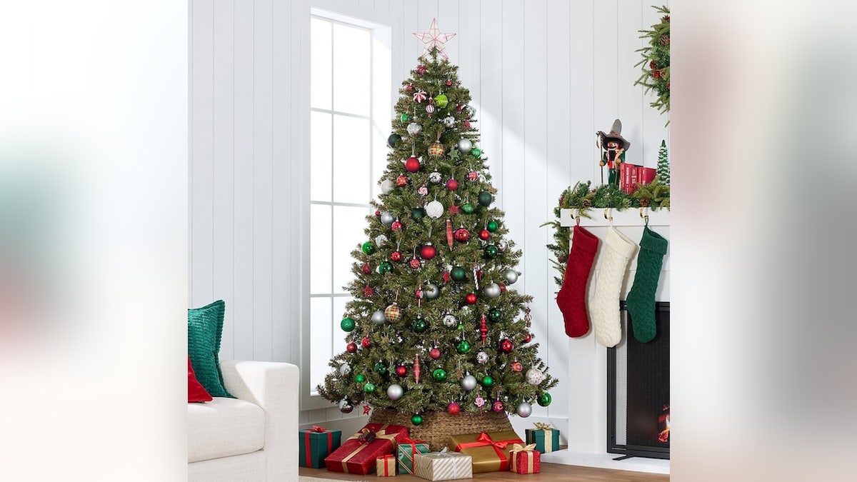 This pick punches well above its price.