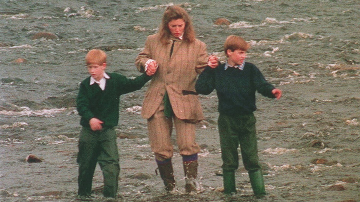 Prince William and Prince Harry being held by their nanny.