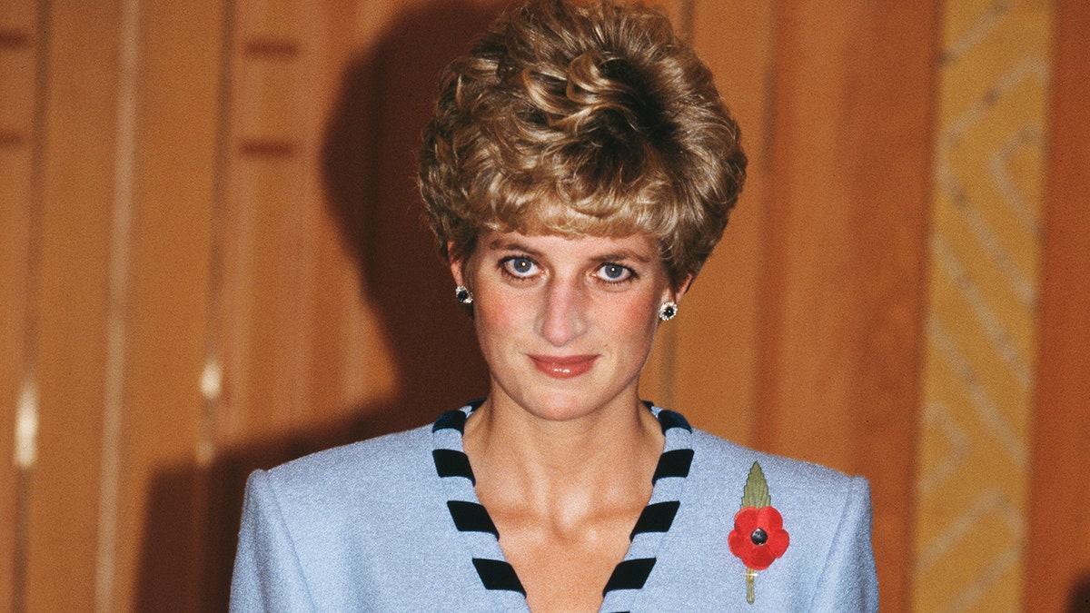 Princess Diana wearing a light blue striped blouse with a red poppy.
