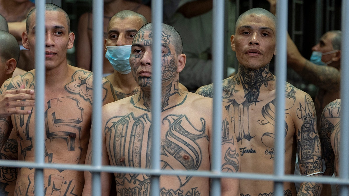 Homeland Security Secretary Kristi Noem looking out of a prison cell with MS-13 gang tattoos in Tecoluca El Salvador