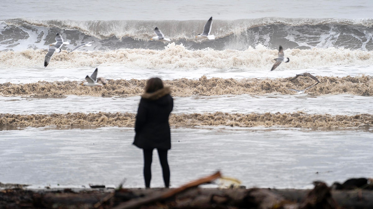 Boyfriend of woman who vanished at California beach bonfire speaks out, makes plea for public's help  at george magazine