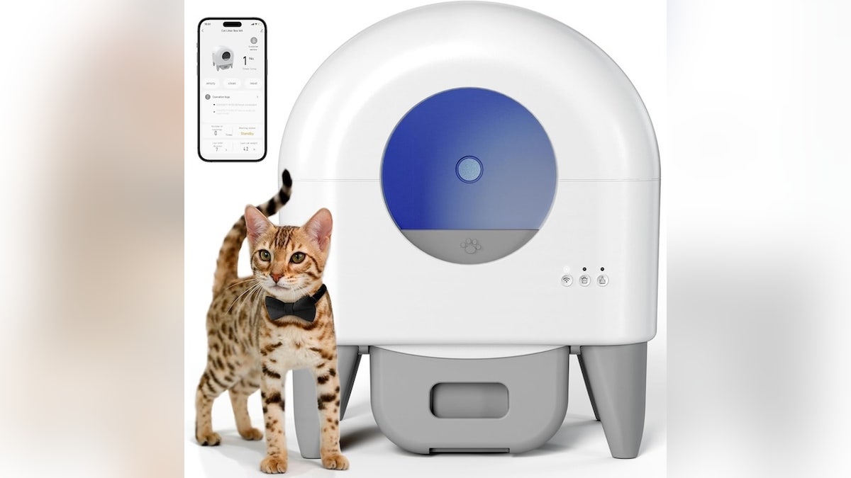 Stop worrying about when to clean your cat’s litter box. 