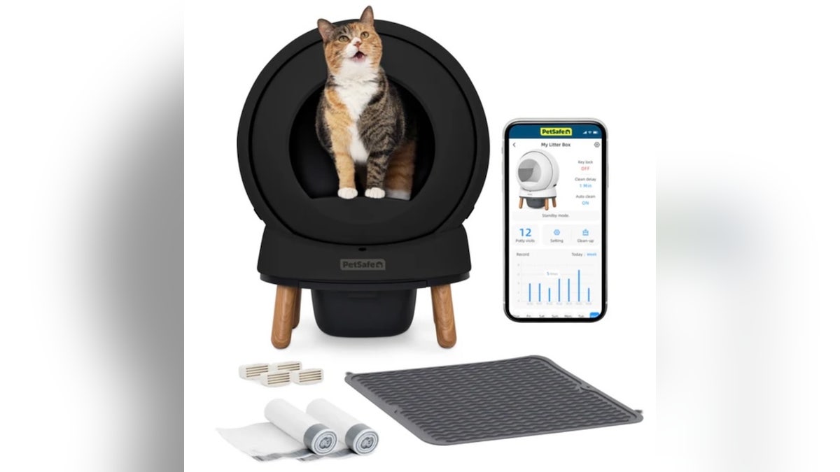Pet owners (and their furry friends) will love these Black Friday deals – litter boxes, cute mugs and more  at george magazine