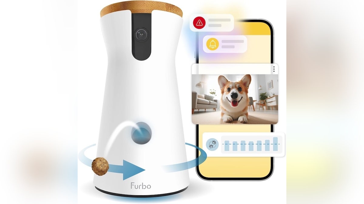 Pet owners (and their furry friends) will love these Black Friday deals – litter boxes, cute mugs and more  at george magazine