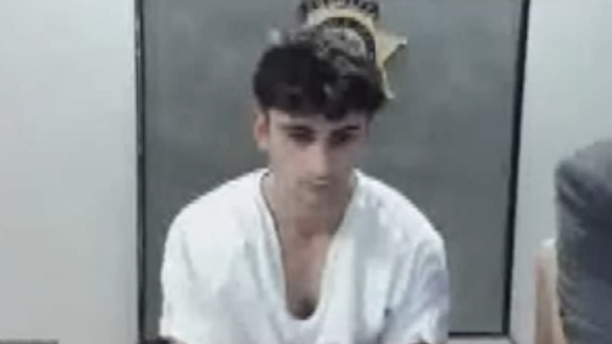 The alleged driver of the Porche, Louis John Artal, 19