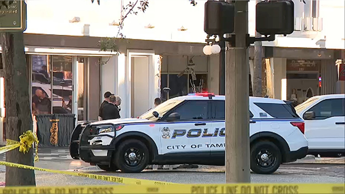 Police cars were seen at the scene of a deadly crash in Tampa, Florida.