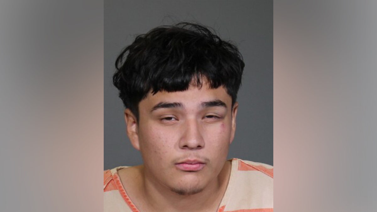 Sergio Noe de Nova Duarte's mugshot in Texas