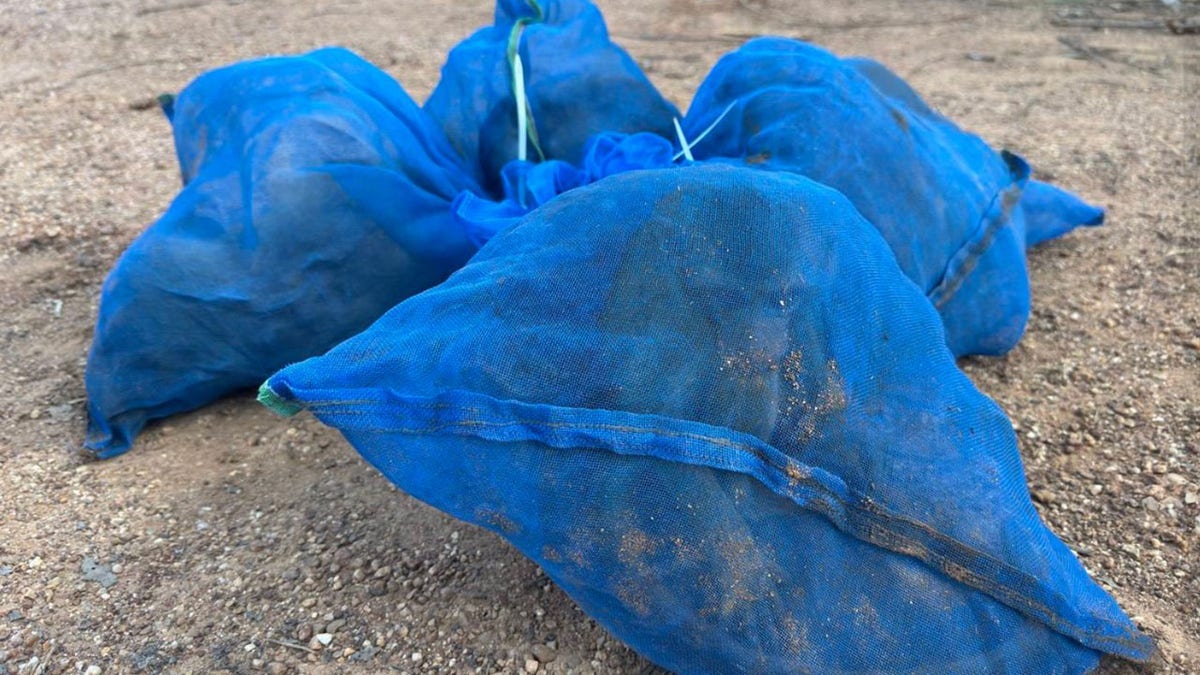 Two men caught with 81 monkeys stuffed in bags and meth in wildlife smuggling ring, authorities say at george magazine