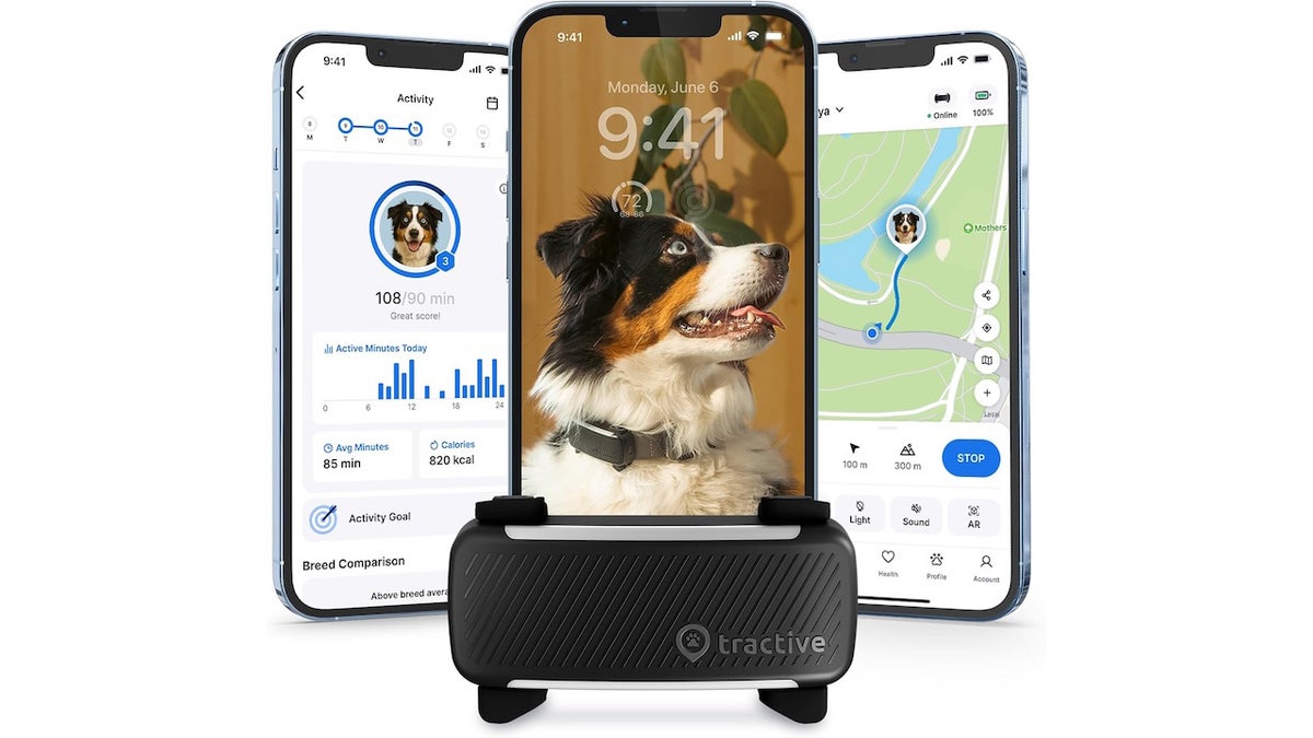 Track your dog’s location and vitals. 