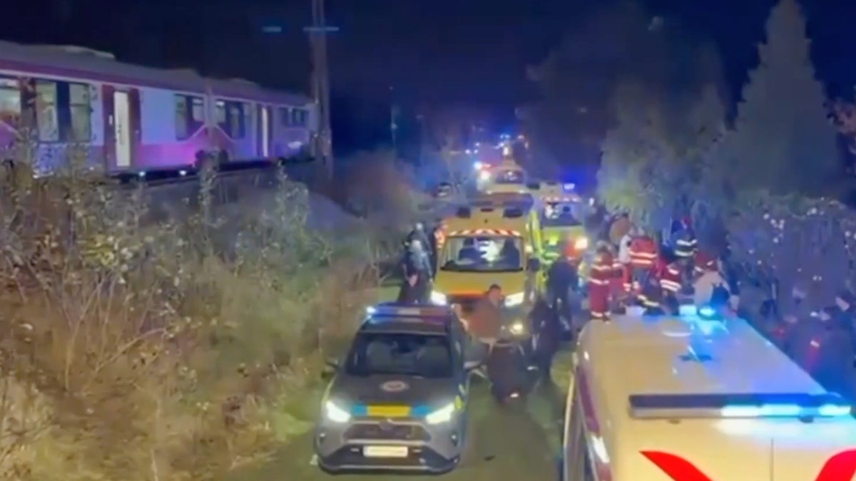 derailed train at night to the paramedics and emergency responders just below the train at the bottom of a hill