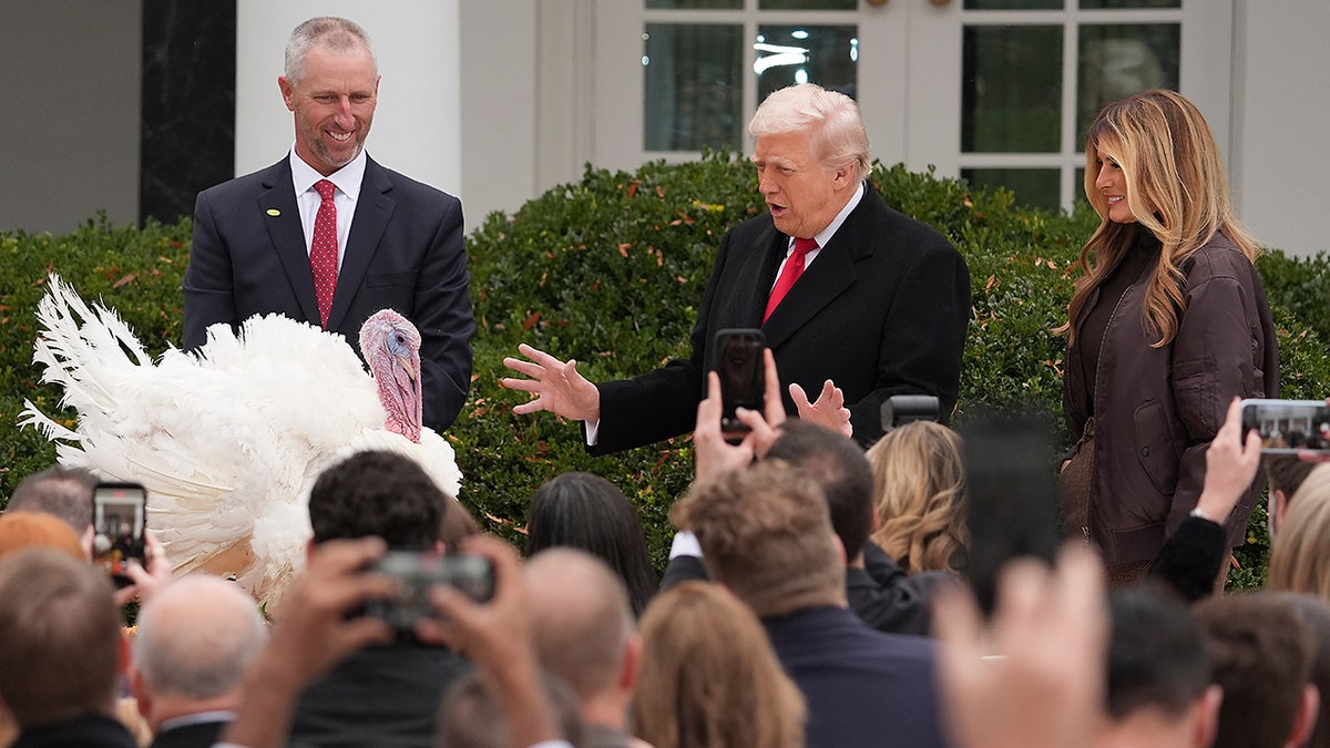 O presidente Donald Trump e a primeira-dama Melania Trump devoram o peru do Dia de Ação de Graças no Rose Garden da Casa Branca, terça-feira, 25 de novembro de 2025, em Washington, DC (AP Photo/Evan Vucci)