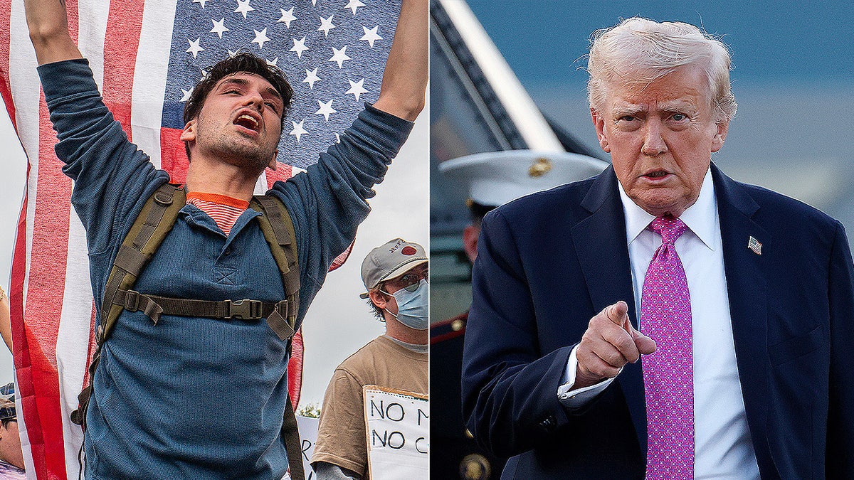 Anti-Trump protester and President Trump