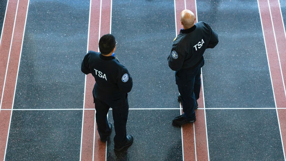 TSA officers assist travelers at Houston airport