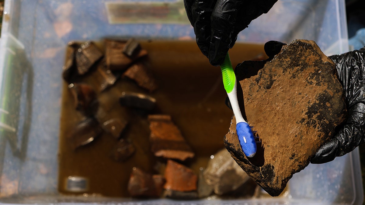 Ancient fire reveals perfectly preserved and 'very important' 5,000-year-old food find  at george magazine