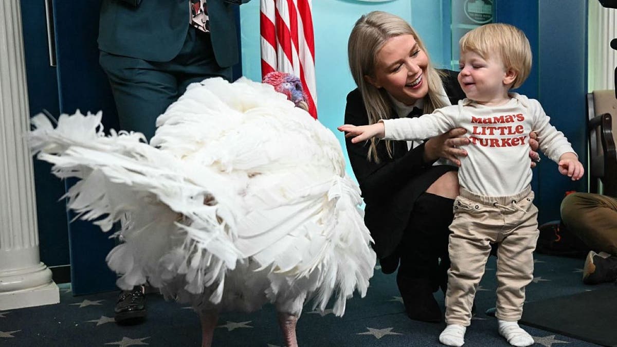 'Waddle' the turkey faces press questions in White House briefing room ahead of presidential pardon  at george magazine