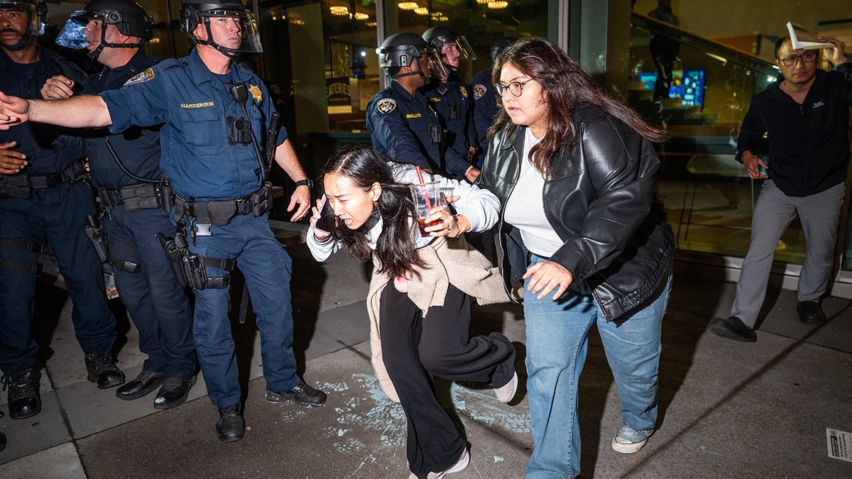 TPUSA attendees astatine  Berkeley earlier  the unit   breaks out