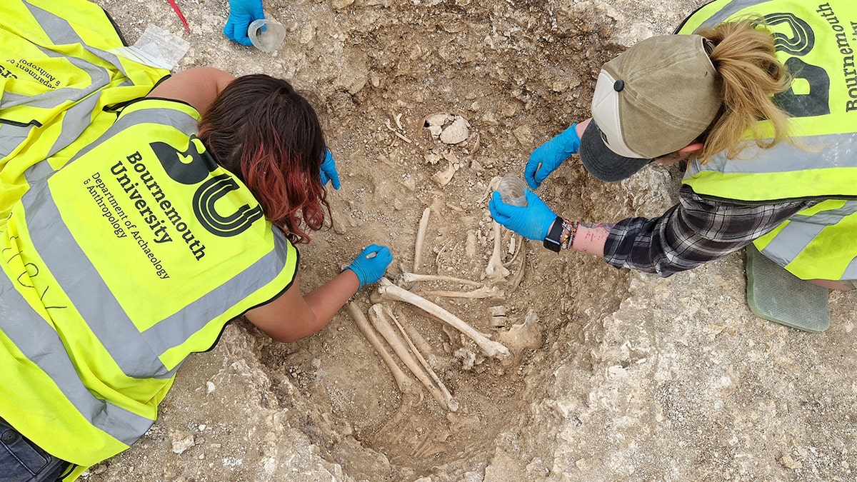 Archaeologists brushing dirt off skeleton.