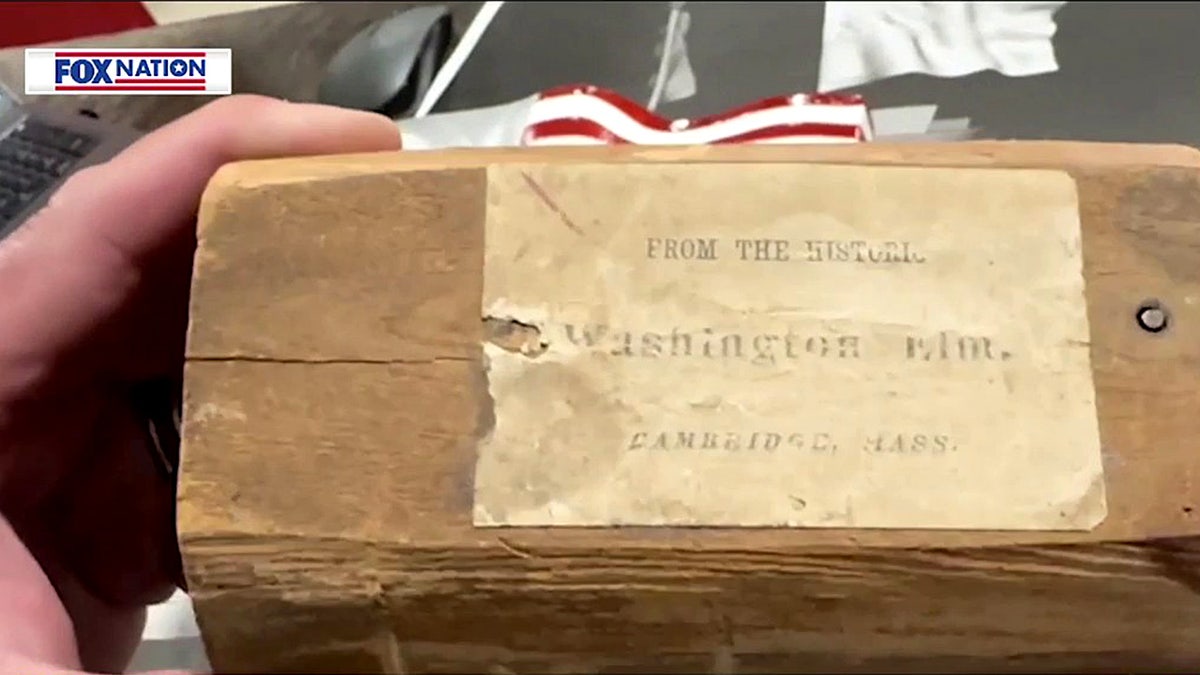 A small block of wood displayed on a table, said to be cut from George Washington’s historic elm tree.