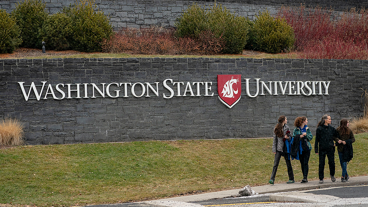 Washington State University sign