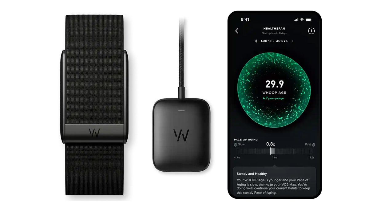 Best Black Friday fitness deals: Up to 55% off walk pads, dumbbells and more  at george magazine