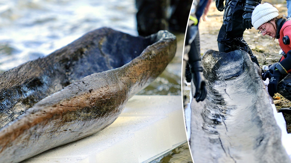 Various angles of retrieved ancient canoe