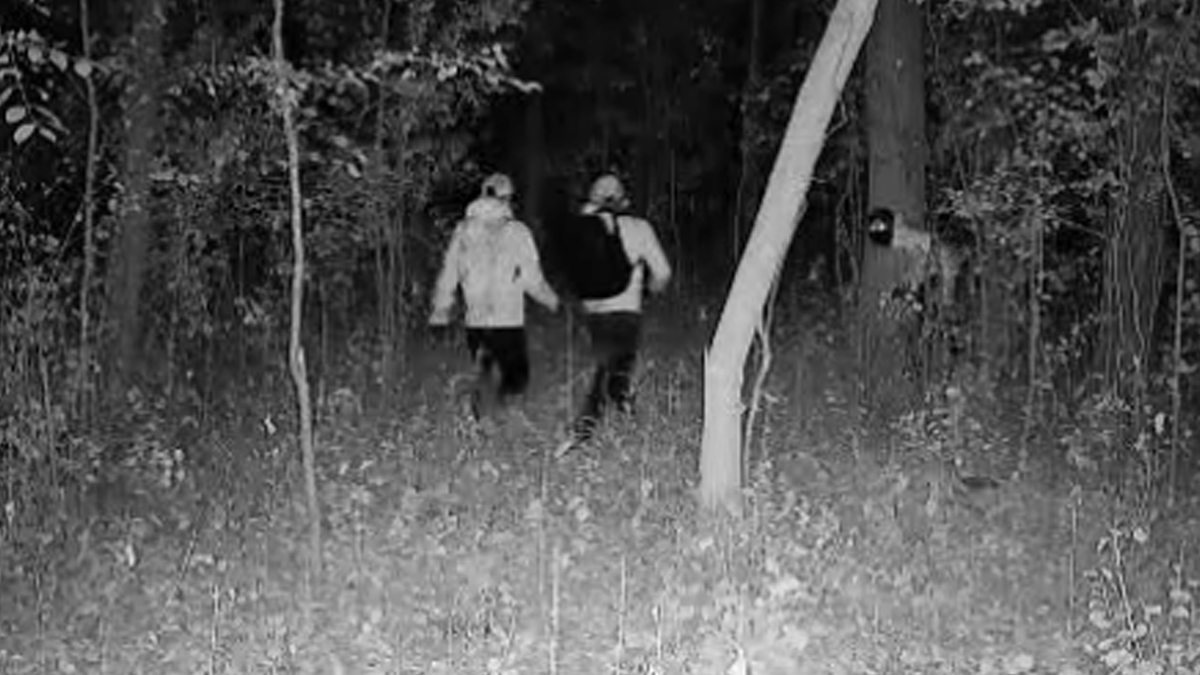 Thieves caught on camera