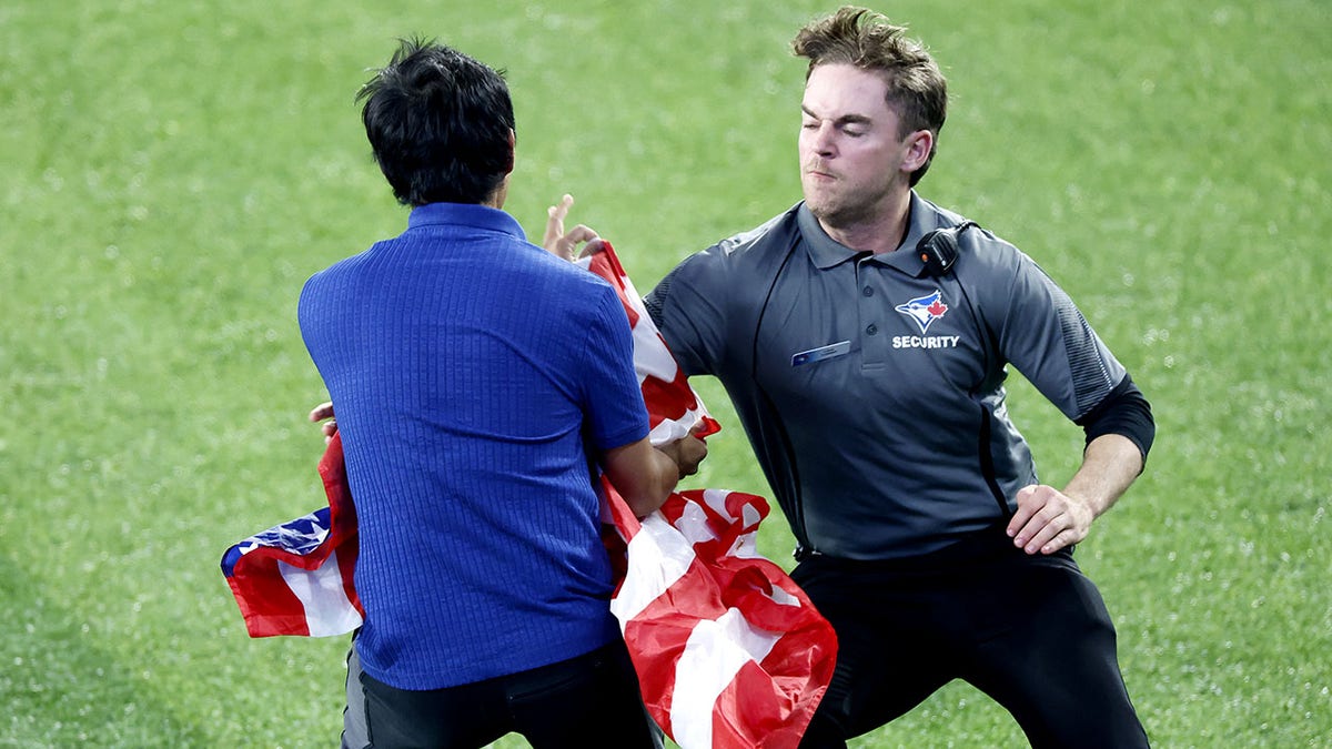 Security tackles a fan