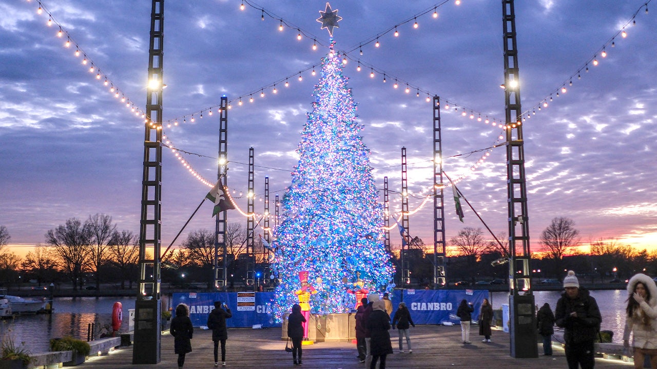 dc-christmas-tree.jpg?ve=1&tl=1