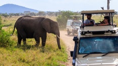 Urgent advisory for safari destination warns of 'terrorist violence' and risk of 'unrest'