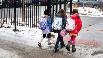 Illinois school officials slammed over segregation-style equity plan - Fox News