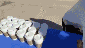 Enraged student arrested after allegedly wrecking Turning Point USA table in viral video - Fox News