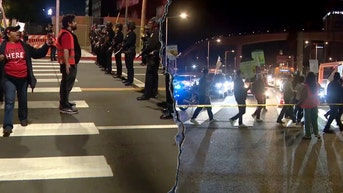 Protesters block traffic outside one of nation's busiest airports ahead of Thanksgiving - Fox News