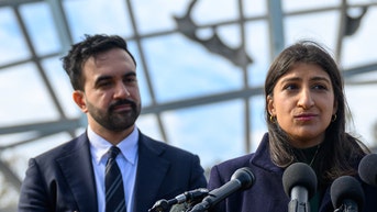 Top Mamdani appointee faces heat amid promise to make NYC more affordable: 'Embodiment of inflation' - Fox News