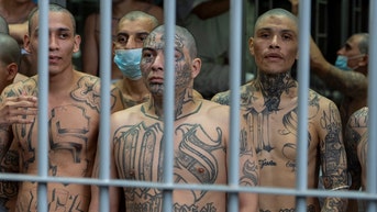 Feds nab 25 alleged Tren de Aragua members, seize 80 firearms in massive sweep - Fox News