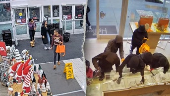 Black Friday chaos grows as expert heist squads outsmart safeguards, fmr detective says - Fox News