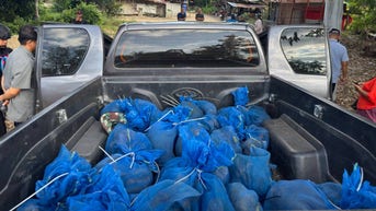 Men caught red-handed with 81 primates in bags as wildlife ring exposed - Fox News