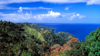 American killed in 'peaceful' Caribbean village after allegedly seeking to buy drugs - Fox News