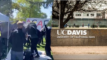 California woman charged with conspiracy and battery after protest at UC Davis event - Fox News